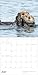 Wall Calendar 2026, Sea Otters: Photography, 12 Months, Large Grid Design Featuring 12 Artworks
