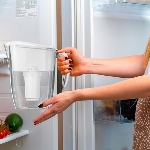 AQUAPHOR A5 filterpatroon met overzicht gefilterde stoffen: kalk, chloor, zware metalen en pesticiden