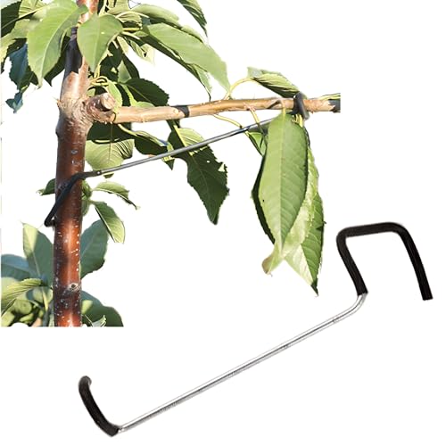 Herramienta para doblar ramas de árboles frutales 20 piezas miniatura 1
