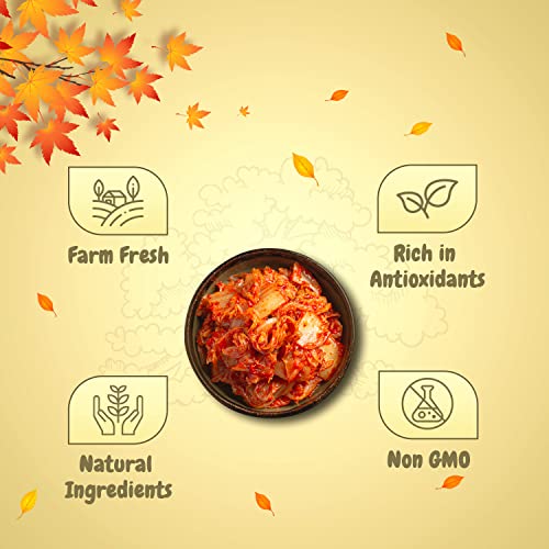 Neo Kimchi I Fermented Indian Cabbage & Carrot 460g I 100% Plant Based I Made in India I Ready to Eat Pickle I Healthy Food I Enjoy with Ramen Noodles, Kimchi Noodle, Korean Rice & Snacks I Probiotic-Rich Side Dish I 460g