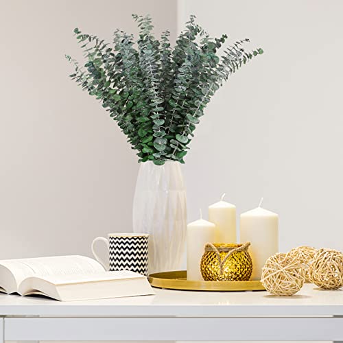 Hiagrow Real Eucalyptus Stems, 20Pcs Shower Eucalyptus Hanging, 17Inch Dried Eucalyptus Sprigs Greenery Plant For Shower Wedding Festival Home Office Fall Decoration #TOP5