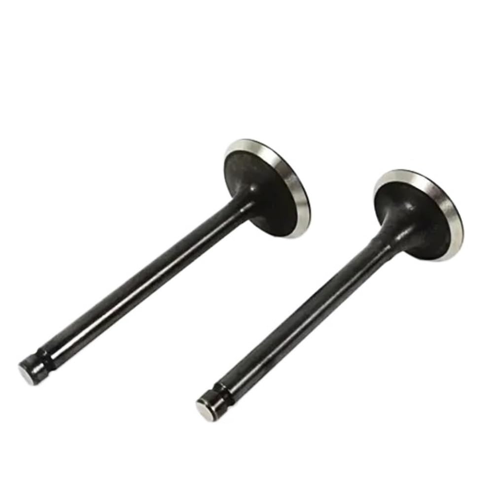 Valves in & ex pour EX21 EX17 pièces de rechange moteur thermique motoculture