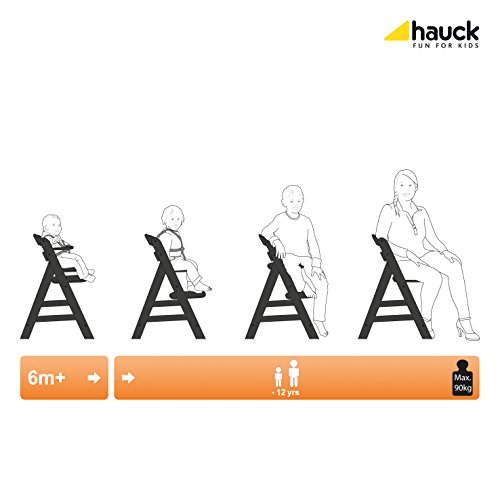 Hauck 66103 Alpha Plus Seggiolone, Blackwashed