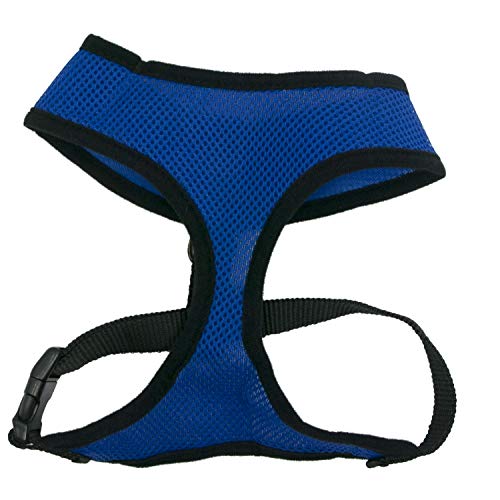 Image of Four Paws Comfort Control Dog Harness Blue Large
