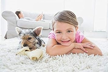 Capture Carpet & Rug Dry Cleaner (4lb) Pet Stain & Odor Neutralizer (32 oz), Pet Stain Remover for Carpet, Rug, Couch, Car & Upholstery - Bundle