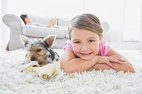 Capture Carpet & Rug Dry Cleaner (4lb) Pet Stain & Odor Neutralizer (32 oz), Pet Stain Remover for Carpet, Rug, Couch, Car & Upholstery - Bundle