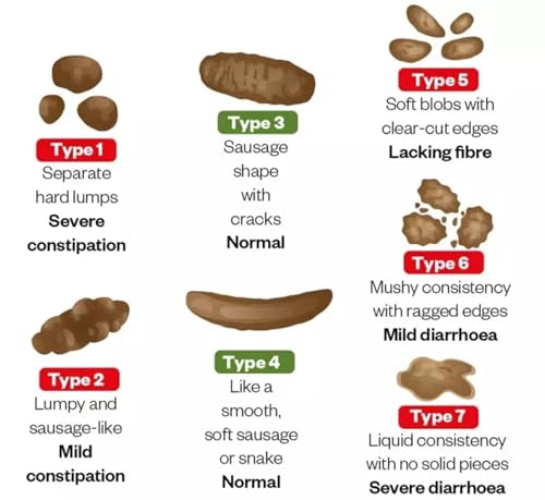 Ayucar Labs Softolax Syrup - Natural Laxative | Constipation Relief | Relief from disgetive problems like Acidity, Gas & Bloating | 200 ML