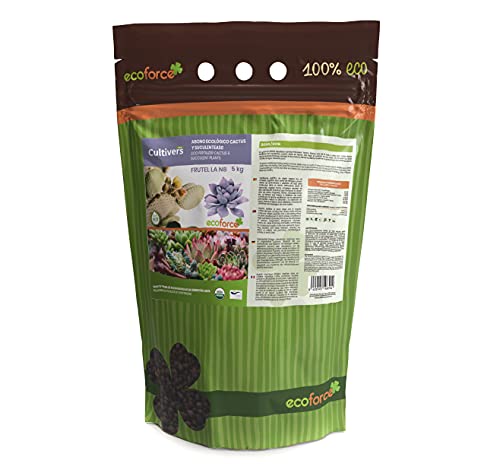 サボテン肥料購入ガイド サイバーサボテン