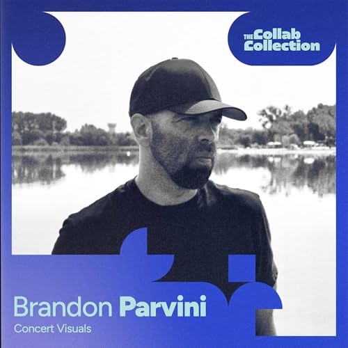 Page de couverture de Music Visualization: Bridging the Gap