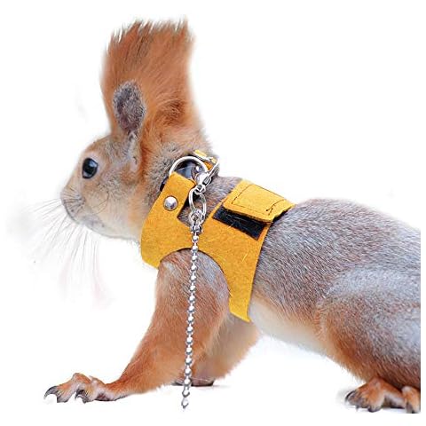 Squirrel Traction Rope with 1.8m Lead Leah Cover