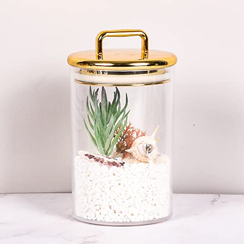 2 Pack 24 oz Medium Acrylic Storage Apothecary Jar with Gold Airtight Lid | Bathroom Vanity Organizer Containers | Ideal Decorative Canisters for Shells, Bath Salt, Grains, Cotton Ball, Flossers by YUEJUM - Image 4