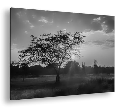 Isla Margarita paysage coucher de soleil pour un salon moderne chic deyoli 90x60