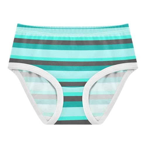 Blue Black Stripe Toddler Girls's Underwear 2T 2300895