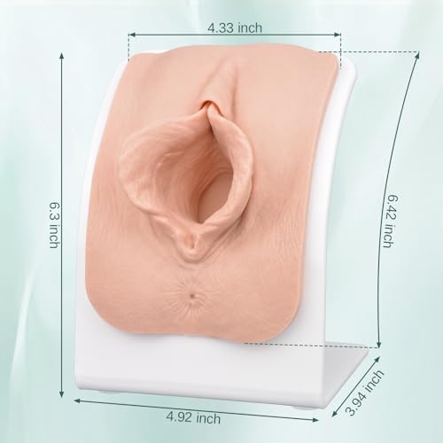 Labiaplasty modèle de suture vaginale pour ateliers de consultation médicale