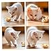 Xoeryoy 3Pcs Cat Mouse Toy, Interactive Self-Moving Cute Electric Cat Toy Mouse with Sound, Fun Wear Resistant Pet Supplies for Home, Indoor
