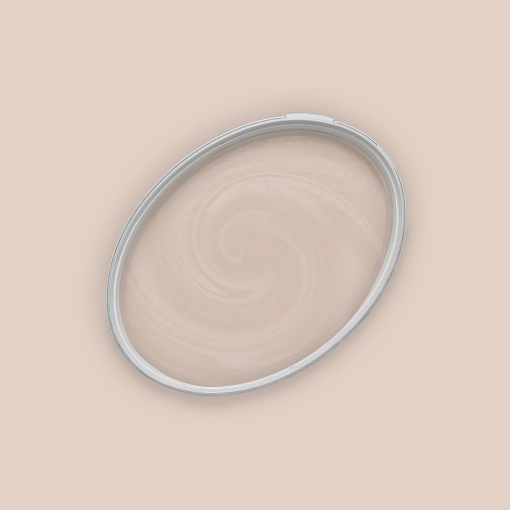 The Color Kitchen - Pintura para pared (5 L, para salón y dormitorio), color beige mate