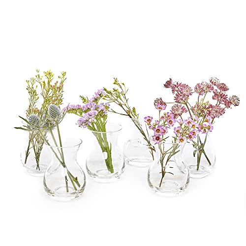CHIVE ‘George’ Glass Bottle Flower Vases — Set of 6