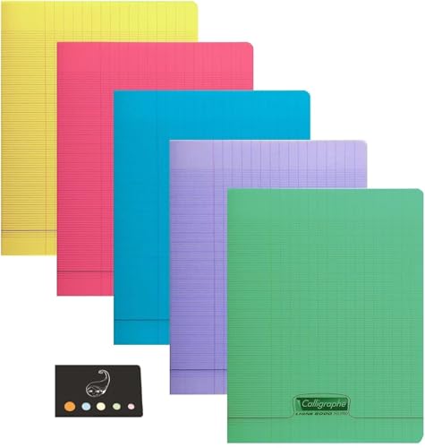 Lot de 5 cahiers 24x32 grands carreaux Seyes avec couverture polypro et index Blumie