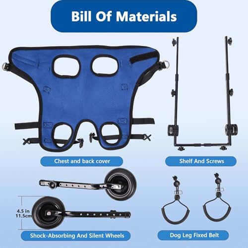 Support de hanche et attelle de jambe pour chien : fauteuil roulant à conception stable