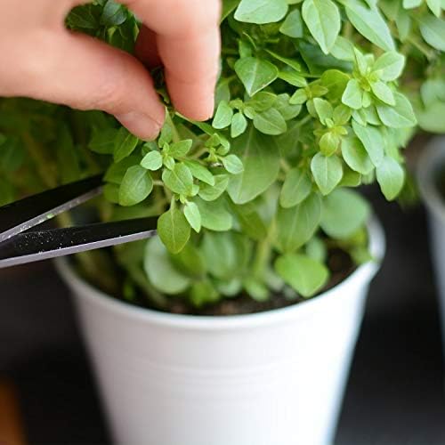 Set of 3 Metal Herb Plant Pots with Drip Tray by CKB Ltd - Traditional Indoor Windowsill Coloured Planter Box for The Kitchen Grow Your Own Herbs for Cooking (Chalk White)