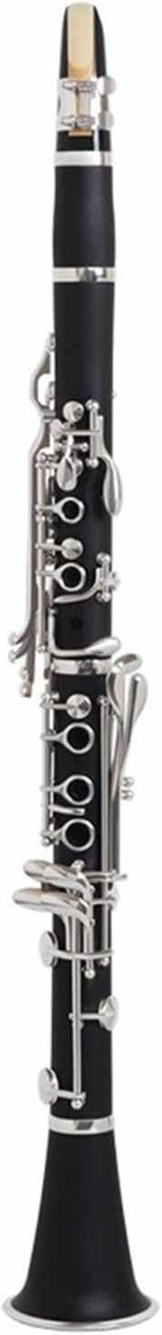 B flat clarinet Professional performance clarinet Professional Clarinet