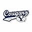 BYU Cougars Distressed