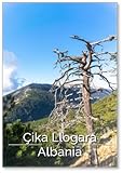 Photomagnet