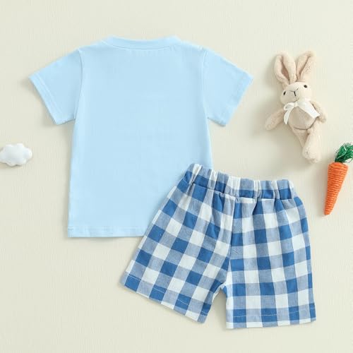 Image of Toddler Baby Boy Easter Rabbit Outfit Short Sleeve Bunny Carrot Smocked T-shirt Elastic Waist Shorts Summer Clothes