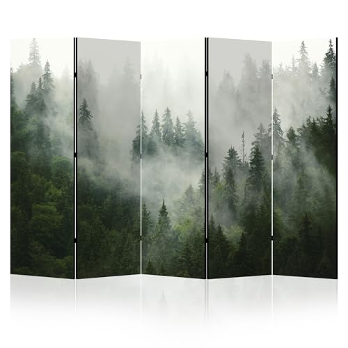 LUMASOUL Separe Divisorio Interno Bifacciale - Paravento da interno - Motivo Naturale - 225x172 cm