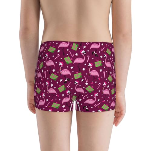 Boys' Cotton Boxer Brief Soft Underwear-Festive Flamingos3