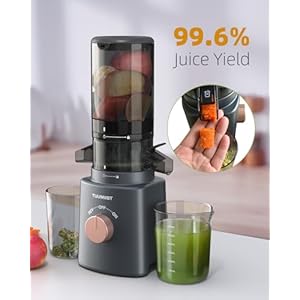 Juicer Machines, TUUMIIST Cold Press Juicer with 4.25'' Large Feed Chute Fit Whole Vegetable And Fruit, Masticating Juicer Easy To Clean, Gun Grey Juicer Machines TUUMIIST Cold Press Juicer with 425 Large Feed Chute Fit Whole Vegetable And Fruit Masticating Juicer Easy To Clean Gun Grey
