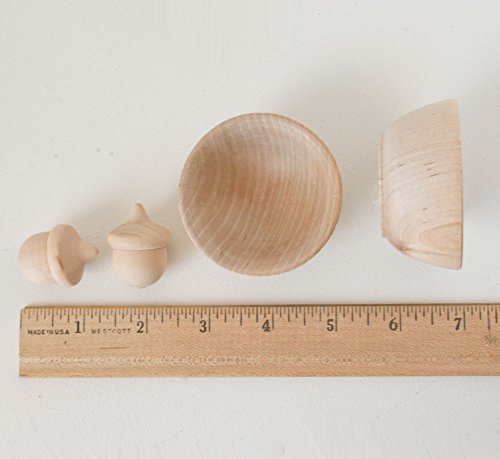 Wooden Acorns Counting & Sorting Kit - Unfinished Wood Set of 20 Acorns and 6 Bowls - Made in The USA