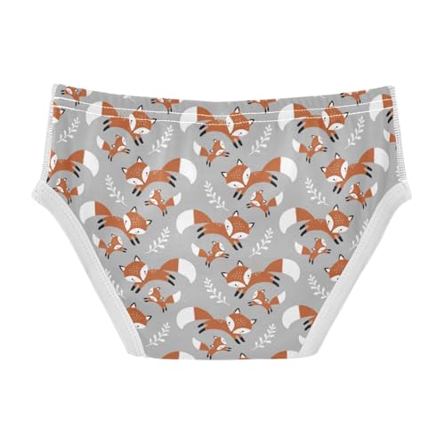 Boys' Exclusive Briefs Toddler Underwear 95% Combed Cotton Boxerbriefs 2T Fox Pattern 162