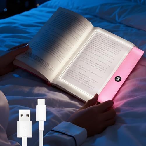 Lampe de lecture LED rechargeable pack de 2 liseuses clipsables dimmables