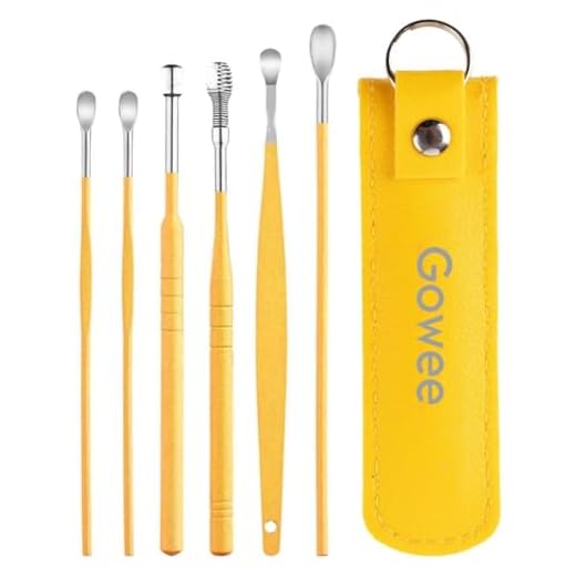 ETSAP The Force Behind Your Health Ear Cleaning Kit Steel Ear Cleaner Reusable Ear Wax Remover Tool Kit Set With Storage Pack, Ear Curette Cleaner And Spring Ear Buds Cleaner 6 Pcs Set (MULTICOLOUR)
