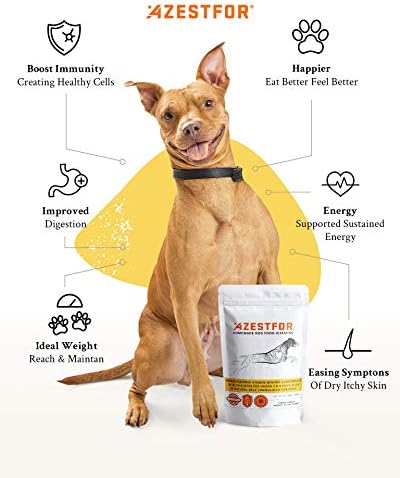 Azestfor Homemade Dog Food Supplement Dog Vitamins Made in USA Add to Holistic Whole Food Diets Raw BARF All Breeds Puppy Adult 16oz Powder 5 Azestfor Homemade Dog Food Supplement Dog Vitamins Made in USA Add to Holistic Whole Food Diets Raw BARF All Breeds Puppy Adult 16oz Powder