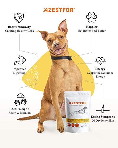 Azestfor Homemade Dog Food Supplement Dog Vitamins Made In Usa Add To Holistic Whole Food Diets Raw Barf All Breeds Puppy Adult 16Oz Powder #TOP4