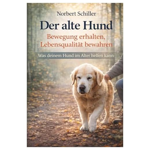 Der alte Hund – Bewegung erhalten, Lebensqualität bewahren: Was deinem Hund im Alter helfen kann