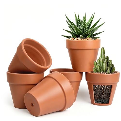 Forbabe 6er Set Terrakotta Blumentöpfe 12x10cm Terrakotta Topf Kleine Tontöpfe mit Abflussloch Tontopf Blumentopf Atmungsaktive Pflanztöpfe DIY Bemalen für Zimmer Büro Innenräume und Gärten