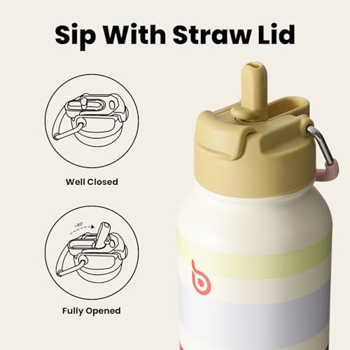 BOTTLE BOTTLE Insulated Water Bottle 950ml(32oz) Stainless Steel Sports Water Bottles with Straw Dual-use Lid Drink Flask Design for Gym with Pill Box (AuroraBands)