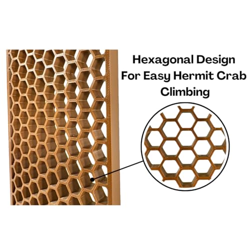 Image of Lucky Critter Hermit Crab Ladder Climbing Toy | Hermit Crab Tank Enrichment Decor | Hermit Crab Decoration Accessories Supplies Toys Ornaments