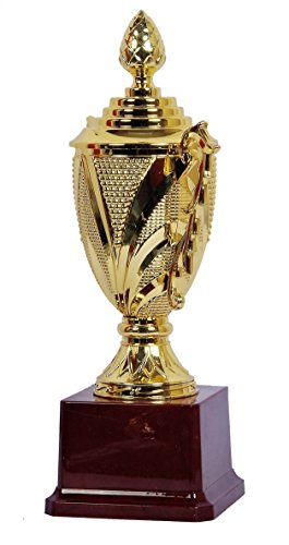 Sigaram Fiber Glass Trophies for Party Celebrations Ceremony Appreciation Sport Academy Awards for Teachers and Students (7 Inch, Brown and Golden)