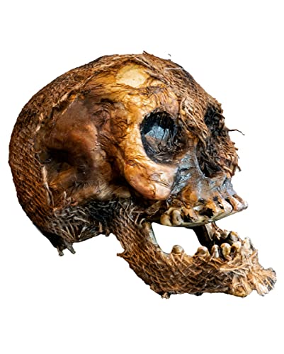 Horror-Shop Vermoderter Totenschädel mit beweglichem Kiefer 22 cm