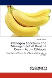 Pathogen Spectrum and Management of Banana Crown Rot in Ethiopia: Importance of Crown Rot of Banana (Musa spp.) in Ethiopia