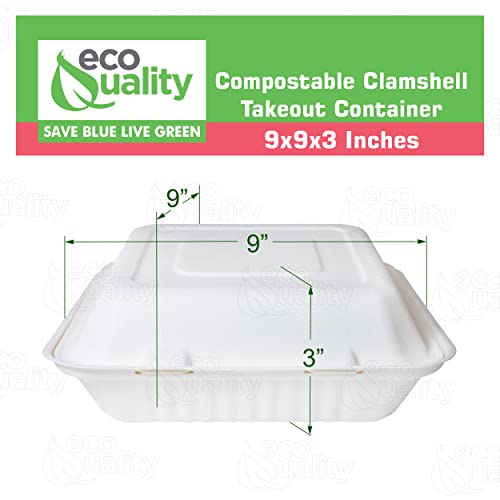 200 Count - Biodegradable 9x9 Take Out Food Containers with Clamshell Hinged Lid - Eco Friendly Sugarcane Bagasse 100% Compostable, Recyclable, ToGo, Restaurant Carry Out, Party Take Home Boxes