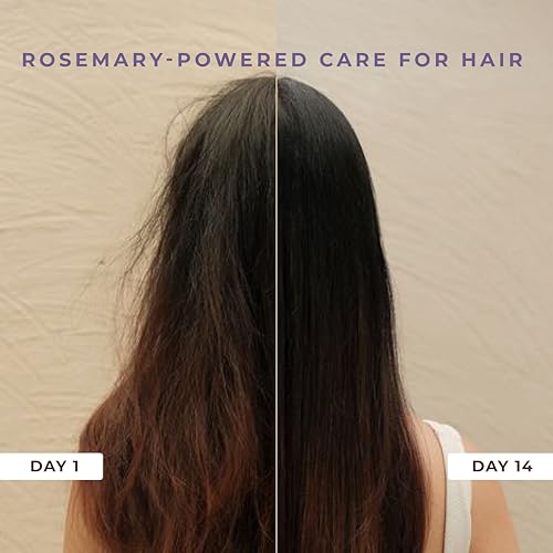 Naturali Anti Hairfall Shampoo | 3x Hair fall Control | With Rosemary, Biotin and Ginseng | No Sulfate No Paraben | Rosemary Shampoo for Hair Growth | 370 ml