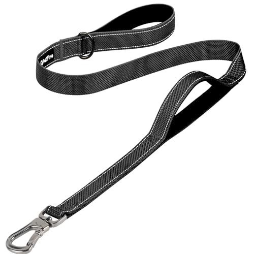 PetiFine 4FT Heavy Duty Dog Leash with Soft Padded Double Handle, Durable Strong Clasp Dog Leashes...