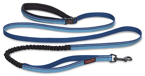 Image of HALTI Active Leash - Award-Winning Bungee Dog Leash, Shock-Absorbing, All-in-One Neoprene Padded Belt & Lead, Perfect for Running & Training with Small & Medium Dogs (Size Small, Blue) | Award-Winning Bungee Dog Leash | Shock-Absorbing Anti-Pull Leash | Padded Belt | Running & Training Small & Medium Dogs