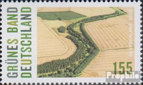 STOBOK 50 Briefumschläge Mit Grünem Band – Kraftpapier-Umschläge Für Grußkarten, Einladungen & Briefe, 17,3 X 12,5 Cm