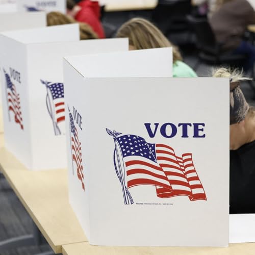 La vigilia di Usa 2024: le ultime battute della campagna elettorale